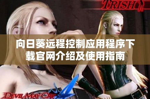 向日葵远程控制应用程序下载官网介绍及使用指南
