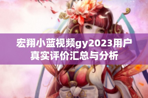 宏翔小蓝视频gy2023用户真实评价汇总与分析
