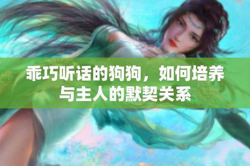 乖巧听话的狗狗，如何培养与主人的默契关系