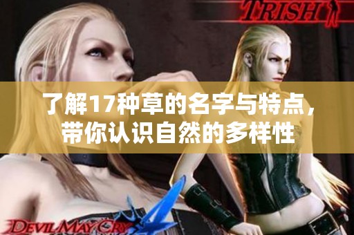 了解17种草的名字与特点，带你认识自然的多样性