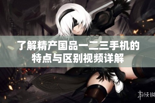 了解精产国品一二三手机的特点与区别视频详解