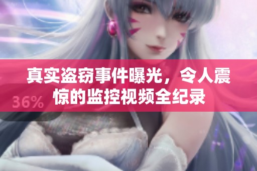 真实盗窃事件曝光，令人震惊的监控视频全纪录
