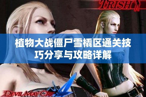 植物大战僵尸雪橇区通关技巧分享与攻略详解
