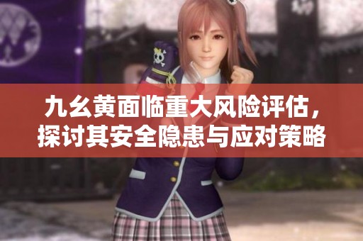 九幺黄面临重大风险评估，探讨其安全隐患与应对策略