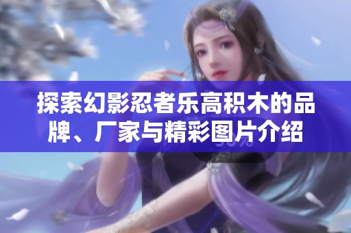 探索幻影忍者乐高积木的品牌、厂家与精彩图片介绍