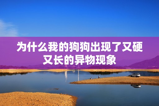 为什么我的狗狗出现了又硬又长的异物现象