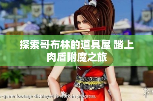 探索哥布林的道具屋 踏上肉盾附魔之旅