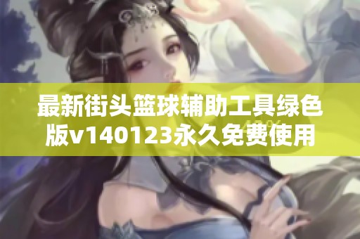 最新街头篮球辅助工具绿色版v140123永久免费使用版介绍
