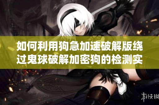 如何利用狗急加速破解版绕过鬼球破解加密狗的检测实现软件自由使用
