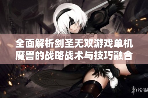 全面解析剑圣无双游戏单机魔兽的战略战术与技巧融合，追寻完美无瑕的竞技对决体验
