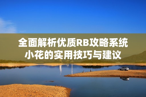 全面解析优质RB攻略系统小花的实用技巧与建议