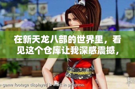 在新天龙八部的世界里，看见这个仓库让我深感震撼，心服口服不禁佩服。