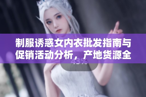 制服诱惑女内衣批发指南与促销活动分析，产地货源全面揭秘助力商家选择