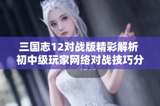 三国志12对战版精彩解析 初中级玩家网络对战技巧分享与策略建议