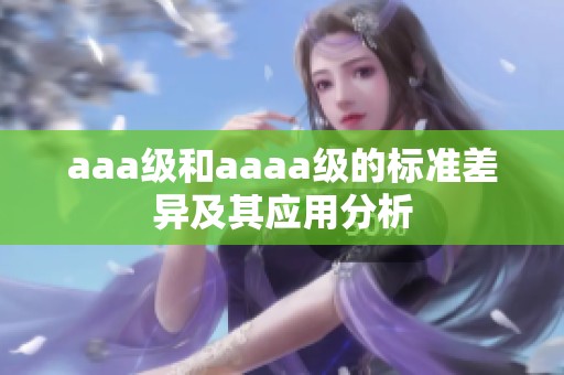 aaa级和aaaa级的标准差异及其应用分析