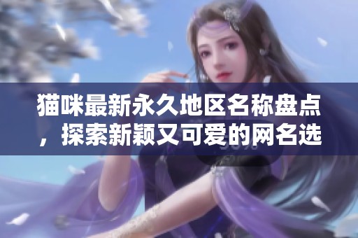 猫咪最新永久地区名称盘点，探索新颖又可爱的网名选择