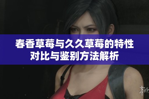 春香草莓与久久草莓的特性对比与鉴别方法解析