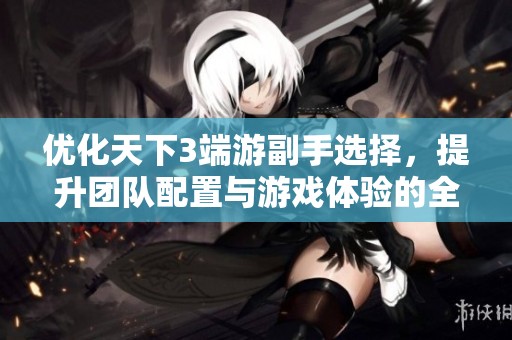 优化天下3端游副手选择，提升团队配置与游戏体验的全面攻略分享