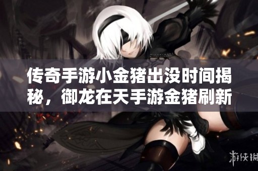 传奇手游小金猪出没时间揭秘，御龙在天手游金猪刷新时间全攻略分享