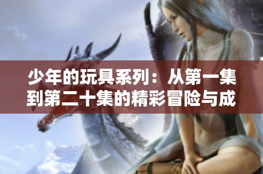 少年的玩具系列：从第一集到第二十集的精彩冒险与成长故事