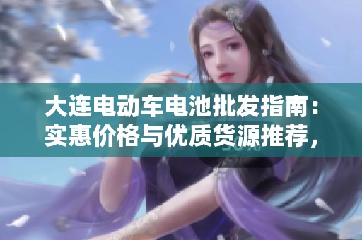 大连电动车电池批发指南：实惠价格与优质货源推荐，助您省心选购