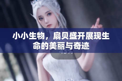 小小生物，扇贝盛开展现生命的美丽与奇迹