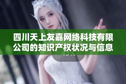 四川天上友嘉网络科技有限公司的知识产权状况与信息概述分析报告