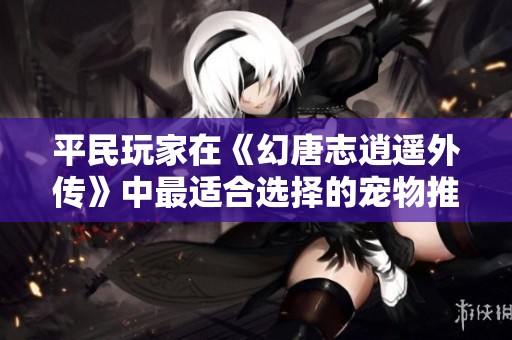 平民玩家在《幻唐志逍遥外传》中最适合选择的宠物推荐与攻略解析