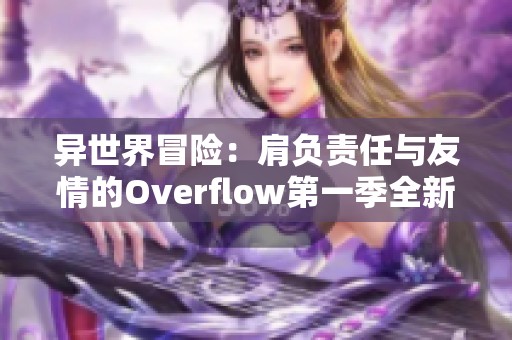 异世界冒险：肩负责任与友情的Overflow第一季全新感悟