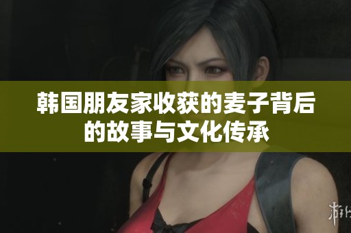 韩国朋友家收获的麦子背后的故事与文化传承