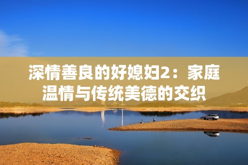 深情善良的好媳妇2：家庭温情与传统美德的交织