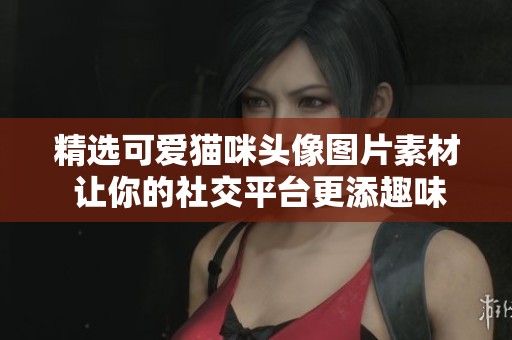 精选可爱猫咪头像图片素材 让你的社交平台更添趣味与个性