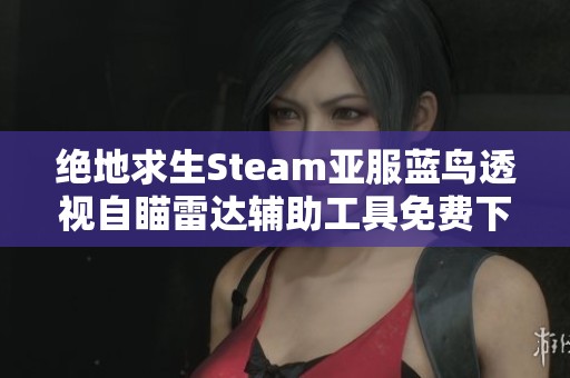 绝地求生Steam亚服蓝鸟透视自瞄雷达辅助工具免费下载攻略分享