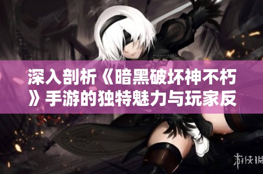 深入剖析《暗黑破坏神不朽》手游的独特魅力与玩家反响的热点争论
