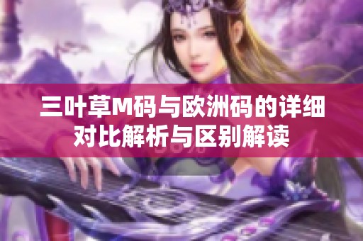 三叶草M码与欧洲码的详细对比解析与区别解读