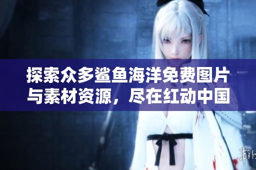 探索众多鲨鱼海洋免费图片与素材资源，尽在红动中国平台等你来发现