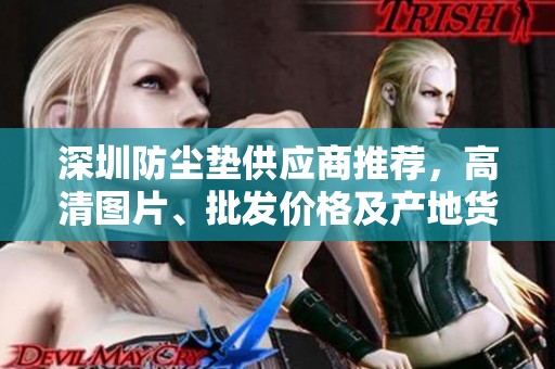深圳防尘垫供应商推荐，高清图片、批发价格及产地货源全解析来袭