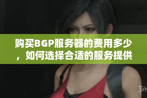 购买BGP服务器的费用多少，如何选择合适的服务提供商