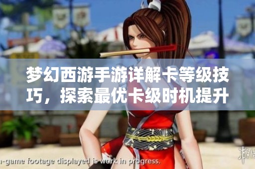 梦幻西游手游详解卡等级技巧，探索最优卡级时机提升游戏乐趣