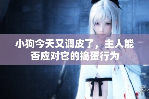 小狗今天又调皮了，主人能否应对它的捣蛋行为