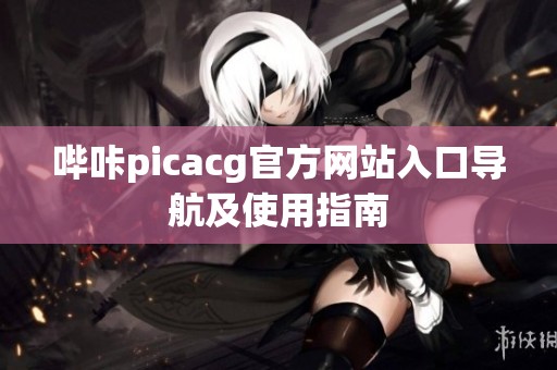 哔咔picacg官方网站入口导航及使用指南