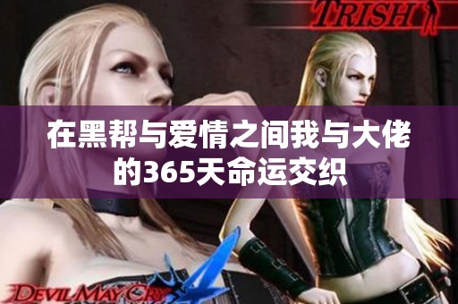 在黑帮与爱情之间我与大佬的365天命运交织