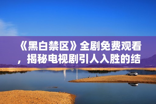 《黑白禁区》全剧免费观看，揭秘电视剧引人入胜的结局解析
