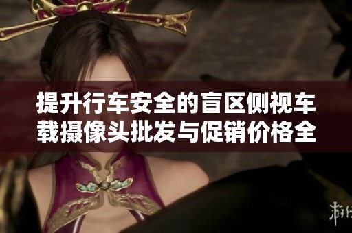 提升行车安全的盲区侧视车载摄像头批发与促销价格全面分析