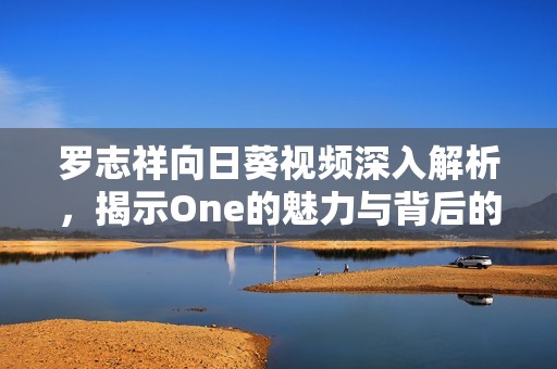 罗志祥向日葵视频深入解析，揭示One的魅力与背后的故事