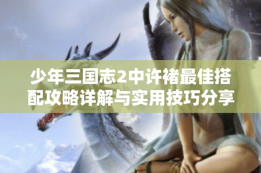 少年三国志2中许褚最佳搭配攻略详解与实用技巧分享