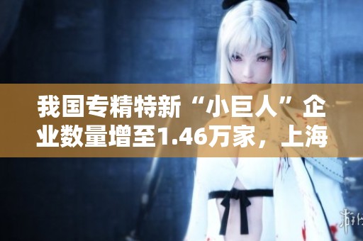 我国专精特新“小巨人”企业数量增至1.46万家，上海市表现抢眼