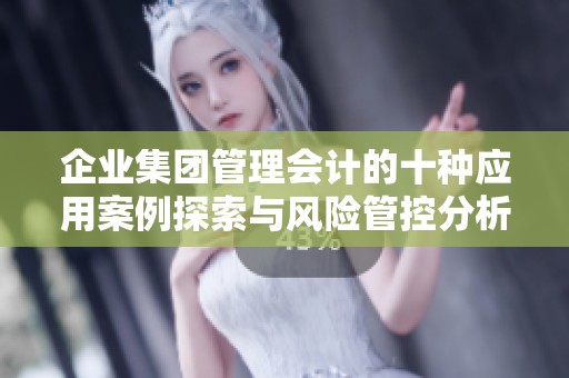 企业集团管理会计的十种应用案例探索与风险管控分析