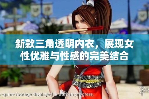 新款三角透明内衣，展现女性优雅与性感的完美结合