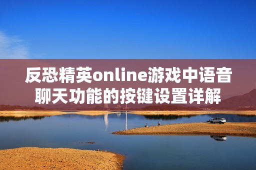 反恐精英online游戏中语音聊天功能的按键设置详解
